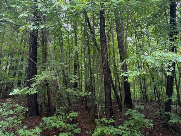 12 Frazier Ln, Franklinton, NC 27525
