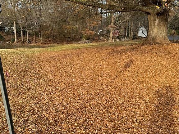 5th image of 803 Lynnhaven Park Dr