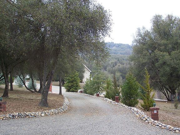 Tree-lined driveway