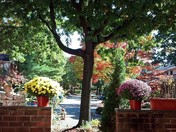Front View from Inside House