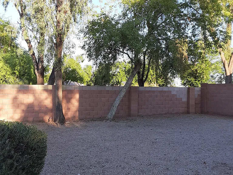 The backyard with shade trees / east side of the property
No neighboors behind ,view to green park with trees