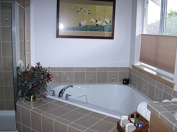 Master Bath Tub