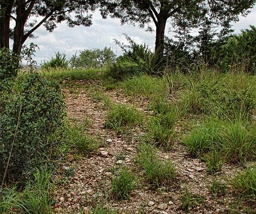 Large trees adorn the front of the property.