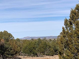 7310 Red Feather Ct, Happy Jack, AZ 86024