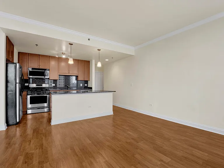 1400 S Michigan Ave #1110 — Photo 7