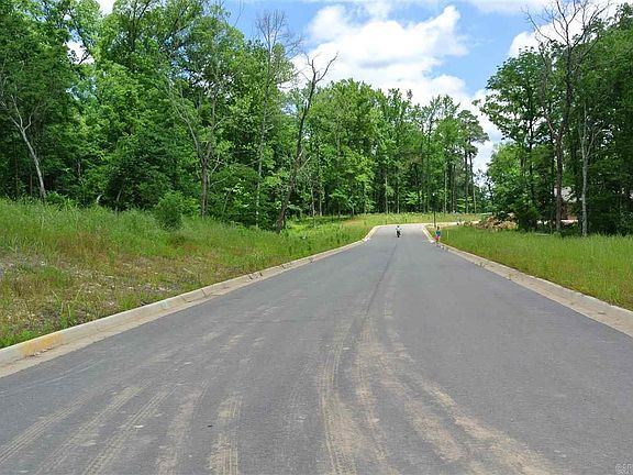 2nd image of LOT 46 S Shoreline Blvd
