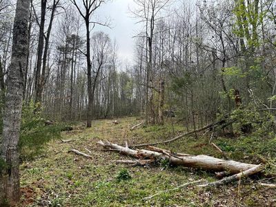 0 Clark Ct #C, Franklin, NC, 28734