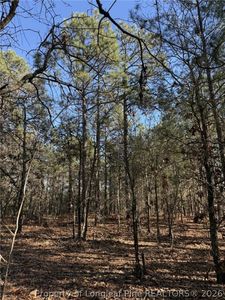 257 Lakeview Ln, Cameron, NC, 28326
