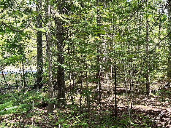 4th image of 209AB E Brown's Point Road E