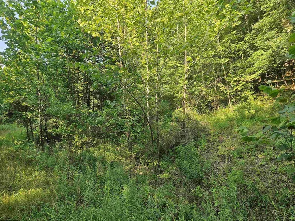 1 Westminster Dr, Morgantown, WV 26501