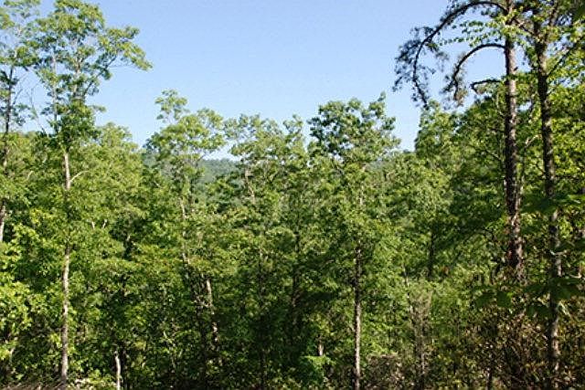 2nd image of 5 Flint Ridge Rd