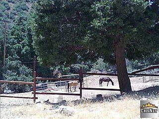 1st image of 38839 San Francisquito Canyon Rd