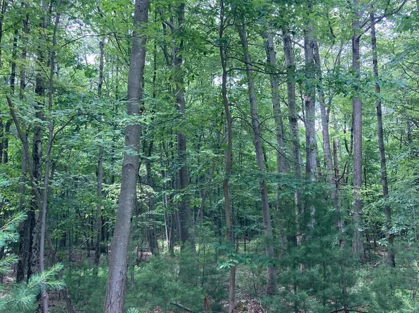 389 Blue Ball Rd, Centre Hall, PA 16828