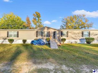1115 Cartrell Brown Dr, Marion, SC 29571