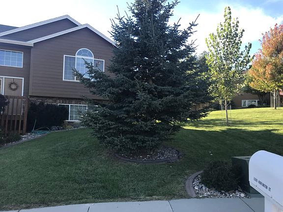 Mature trees in front lawn