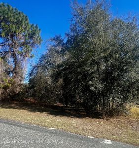 8039 N Creek Way, Citrus Springs, FL, 34434