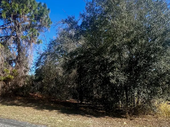 8039 N Creek Way, Citrus Springs, FL 34434