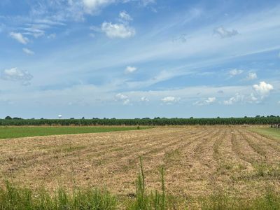 Clifton Angelle Rd, Breaux Bridge, LA, 70517