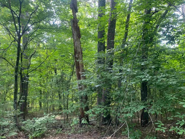 7 Camello Ln, Hot Springs Village, AR 71909