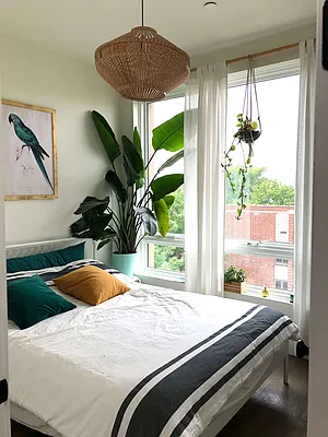 Rented by Nooklyn NYC LLC | media 43