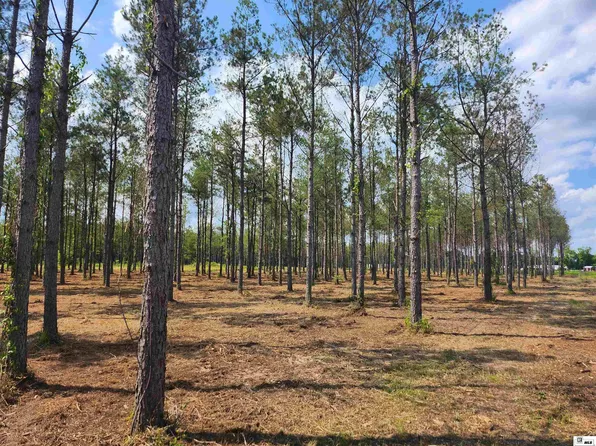 0 Kab Ln, Mangham, LA 71259