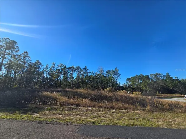 9388 N Old Mill Way Lot 14, Dunnellon, FL 34433