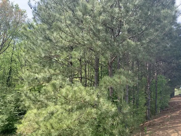 Reeder Rd, Dora, AL 35062