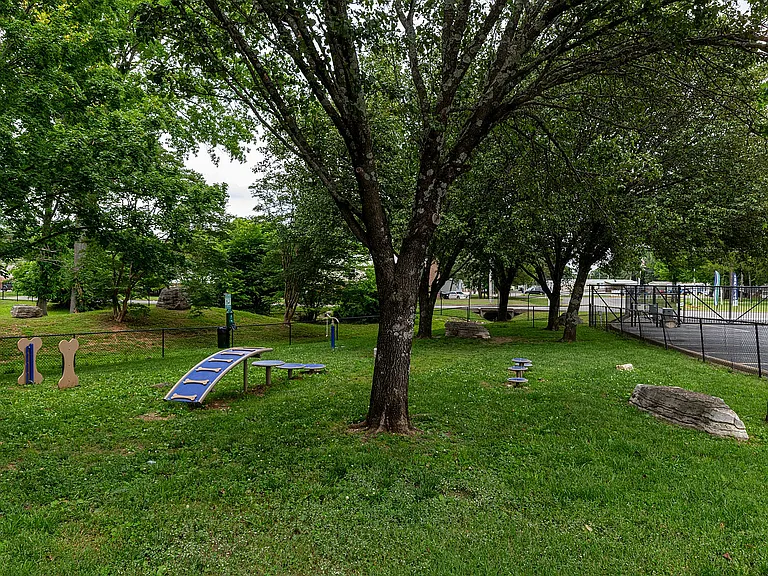 Bark Park
