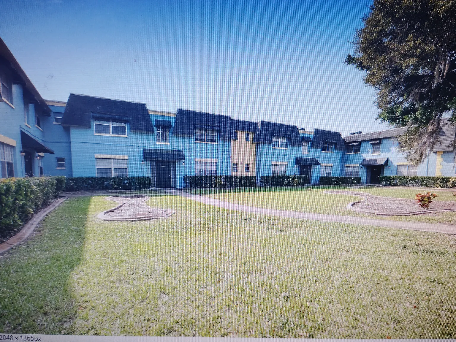 1 bed, 600 sqft, $1,295 — Photo 1