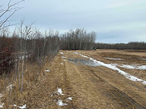 5th image of 73125 Range Road 135