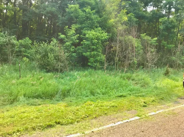 LOT Buckhorn Rd #I, Three Rivers, MI 49093