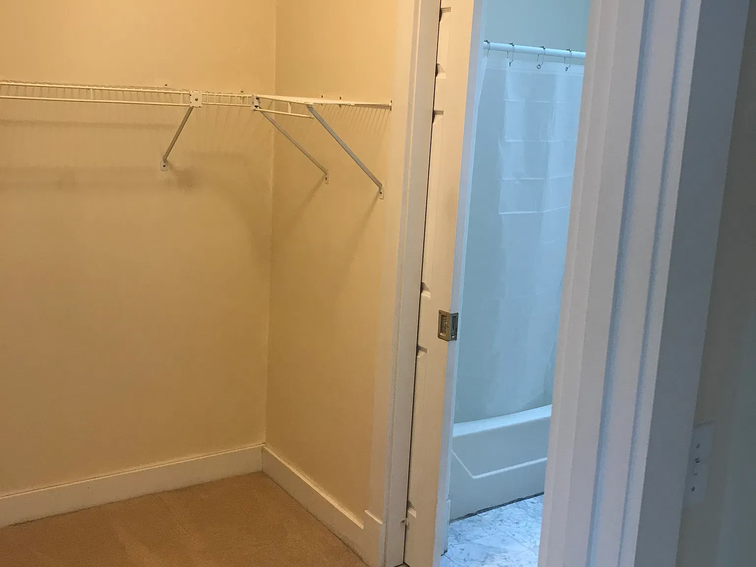 2 bed, 1200 sqft, $2,900 — Photo 4