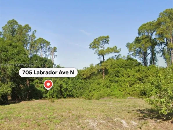 705 Labrador Ave N, Lehigh Acres, FL 33971