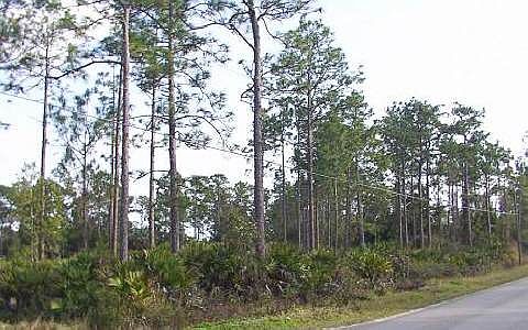 1st image of 5939 Logwood Ln