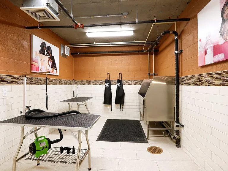 Pet Spa
