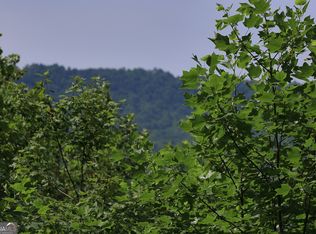 29 Cool Spring Ln, Clayton, GA 30525