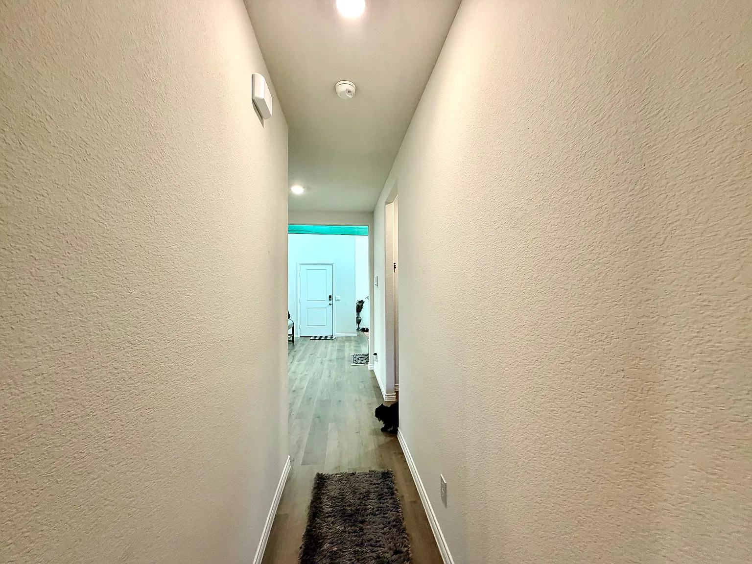 4 bed, 2511 sqft, $3,400 — Photo 4