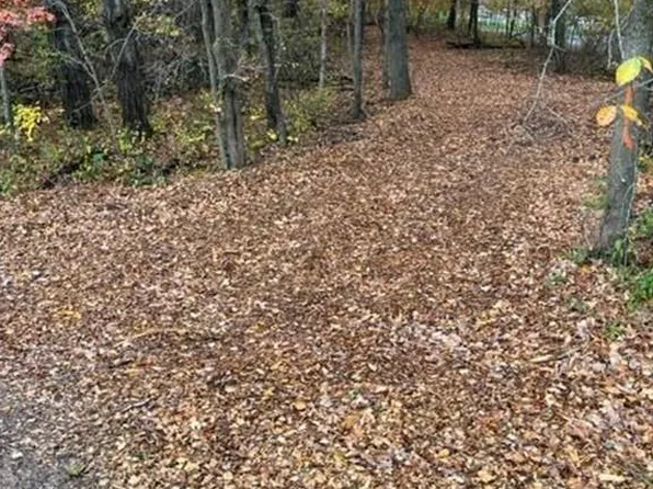 LOT 5 Tiger St NW, Zimmerman, MN 55398