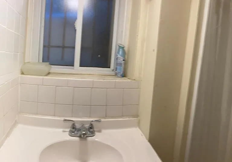 4559 Pine St — Photo 4