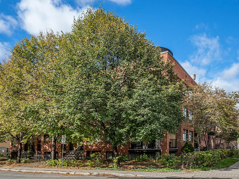 249 Clarence St — Photo 14