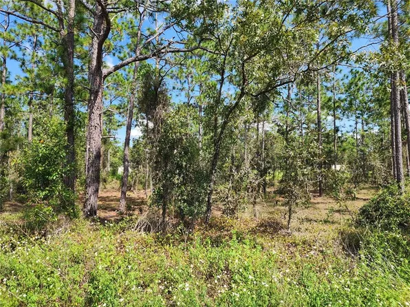 SW Ridgewood Rd Lot 45, Dunnellon, FL 34431