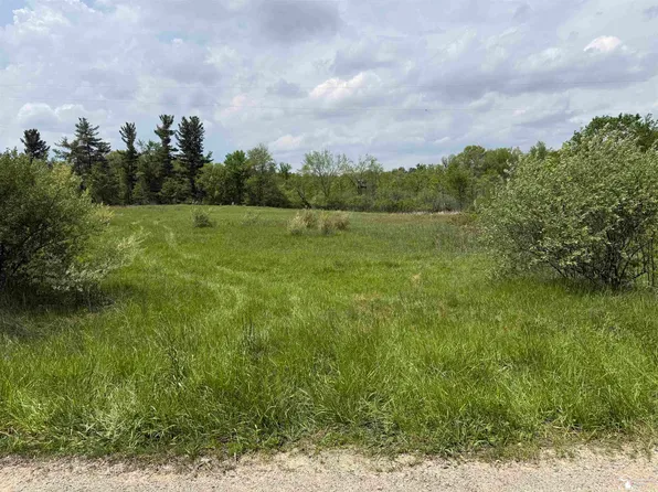 1 Clark & Burt Rd, Frontier, MI 49239