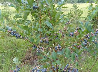 0 132nd St #412AC, Live Oak, FL 32060