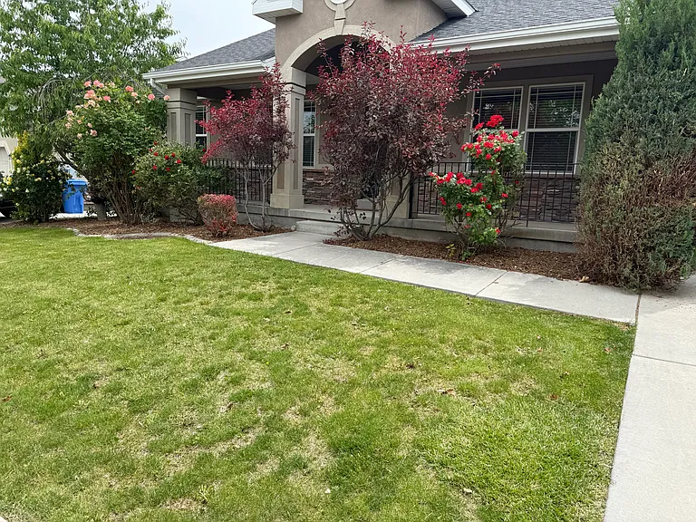 13693 S Daggerwing Way — Photo 3