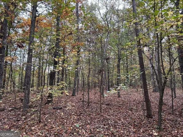 0 Manning Lake Rd SW, Rome, GA 30165