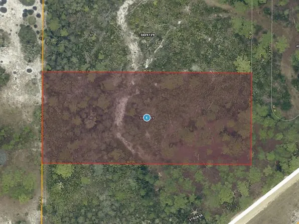 28-17-28-0004-00 Buck Run Dr Lot 46-48, Paisley, FL 32767