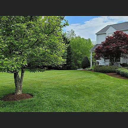 Front yard
