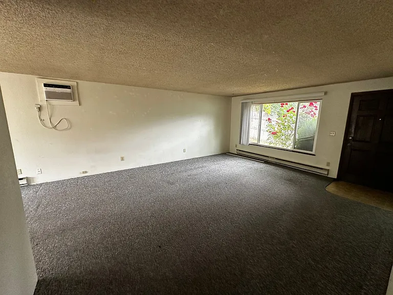 242 Currier Ave — Photo 3