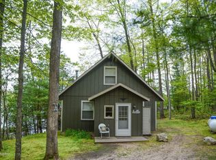 9822 W Harper Dr, Irons, MI 49644