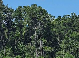 37330 Reinninger Rd, Denham Springs, LA 70706